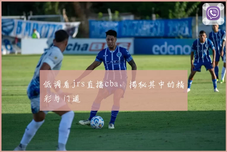 低调看jrs直播cba，揭秘其中的精彩与门道